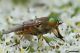DSC_8094.jpg