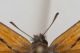Antenne260813.JPG