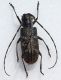 DSCF4992.JPG