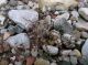 IMG-20130901-WA0000.jpg