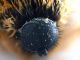 Comb0956_68crh.jpg