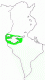 chrysesthes.gif