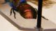 DSCF3978.JPG