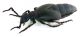 Comb0980_78crh.jpg