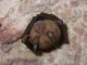 DSCN5496.JPG