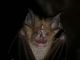 DSCN5513.JPG