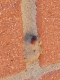 2013-09-21 11.47.32.png