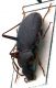 Comb1005_71crh.jpg