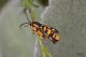 2011_06_13_9777.jpg