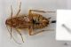 2013_09_25_06739.jpg