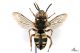 2013_09_25_06756.jpg