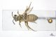 2013_09_25_06735.jpg