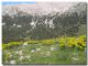 Parco Madonie_ Piano Zucchi_1100 m_25 aprile 2003.jpg