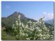 Parco Madonie_dintorni di Pollina_800 m_2 aprile 2005.jpg
