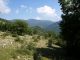 _Monte_Morra_13-VII-2010_OL033.JPG
