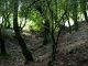 _Monte_Morra_13-VII-2010_OL038.JPG