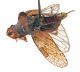 Comb1042_56crc.jpg