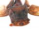 Comb1043_39crc.jpg