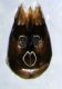 capgracillimarid.jpg