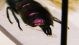 DSCF4118.JPG