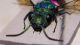 DSCF4120.JPG
