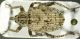 Donus (Antidonus) lunatus.jpg