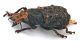 Comb1094_54crc.jpg