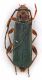 Comb1079_21crc.jpg