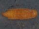Larva_Monte_Sirente_1400m_14-X-2013_OL_003.JPG