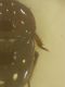 DSCN5795.JPG