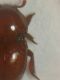 DSCN5797.JPG