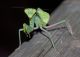 nam_14-3_IMG_4285a.jpg