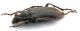 Comb1118_48crc.jpg