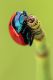 _MG_3336copia-900-ID.jpg