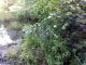 WP_000948.jpg