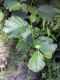 WP_000950.jpg