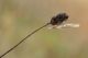 001335-web.jpg