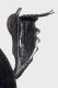 Merohister protibia.jpg
