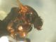 DSCN5957.JPG