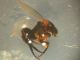 DSCN5956.JPG