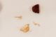 trachyphloeus cf ilvensis 3.JPG