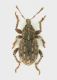 DSCN5979.JPG