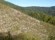 PA110208.JPG