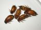 DSCN5951.JPG