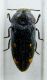 DSCF0711.JPG