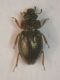 DSCN6159.JPG