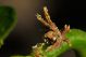 _DSC2903_01.JPG