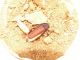 DSCF9053.JPG