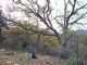 Tolfa_28-XII-2013_L26_003.JPG