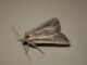 DSCF7543.JPG